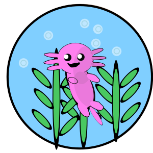 axolotl (2)
